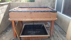 aquaponics-grow-bed-and-fish-tank-installed